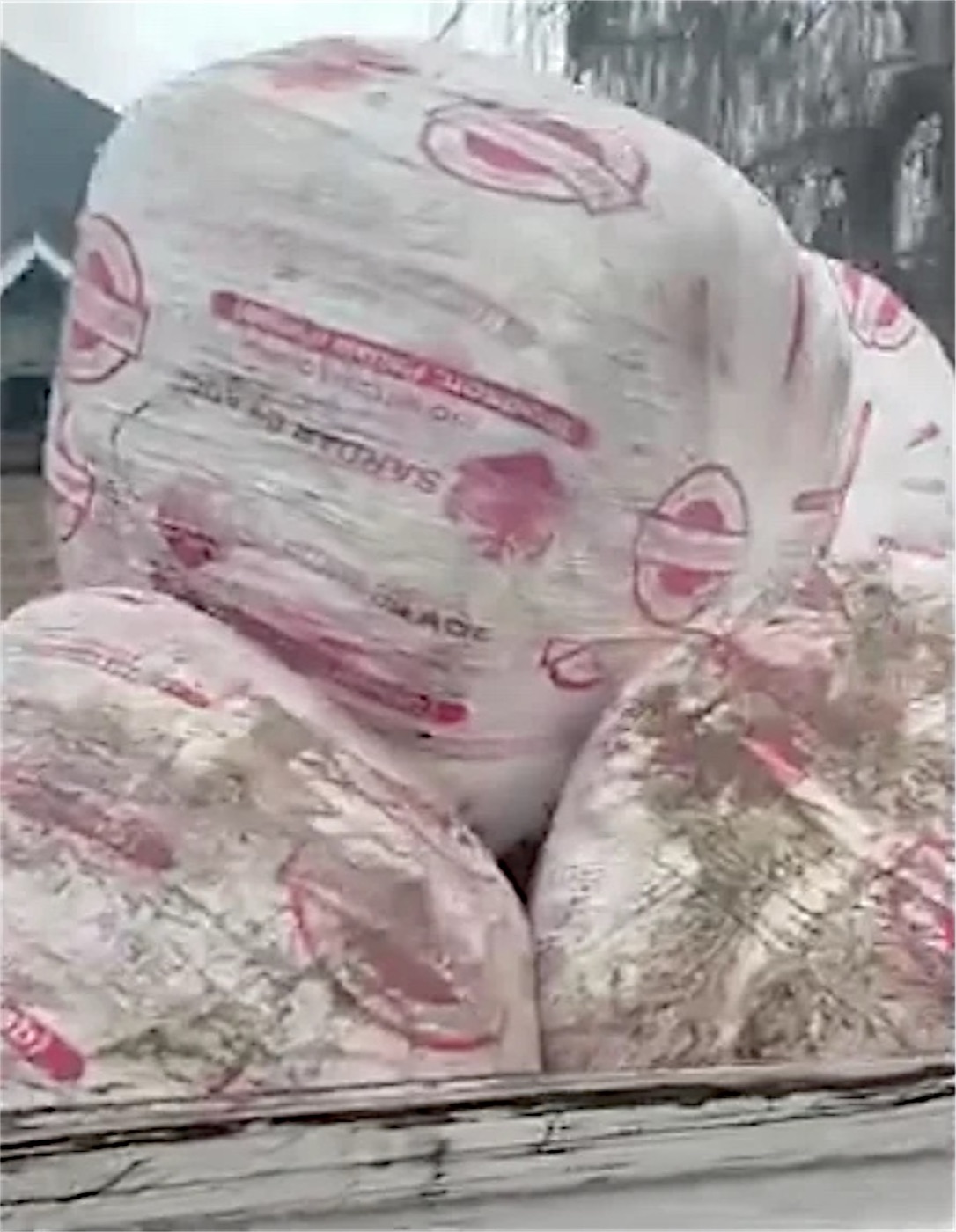 Sardar Silage bales loaded in a truck