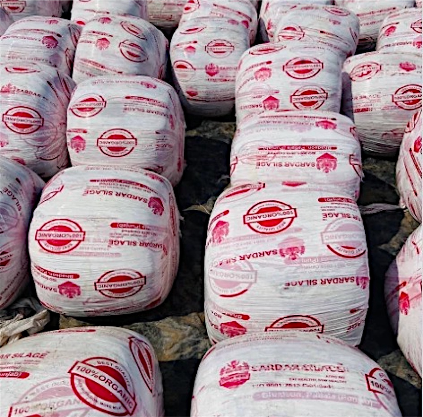 Genuine Sardar Silage bales
