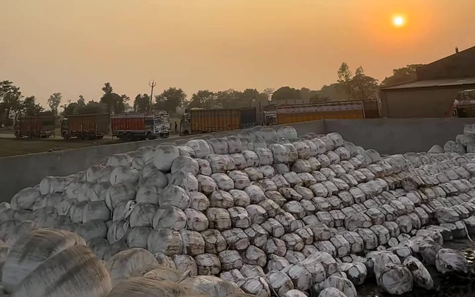 Thousands of wrapped Sardar Silage bales at sunset with trucks lined up to load bulk orders