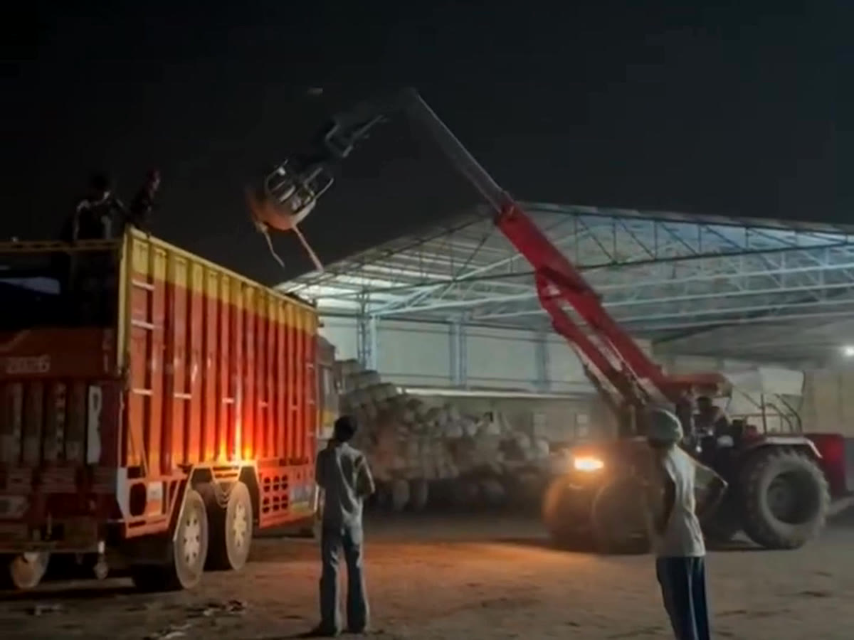 Loading a truck with Sardar Silage bales at night under the covered storage shed during peak season