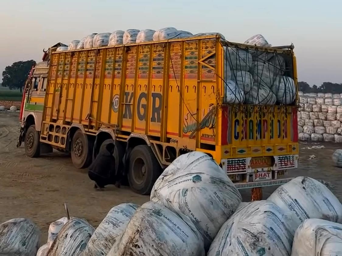 A truck loaded high with Sardar Silage bales, ready to set off for delivery